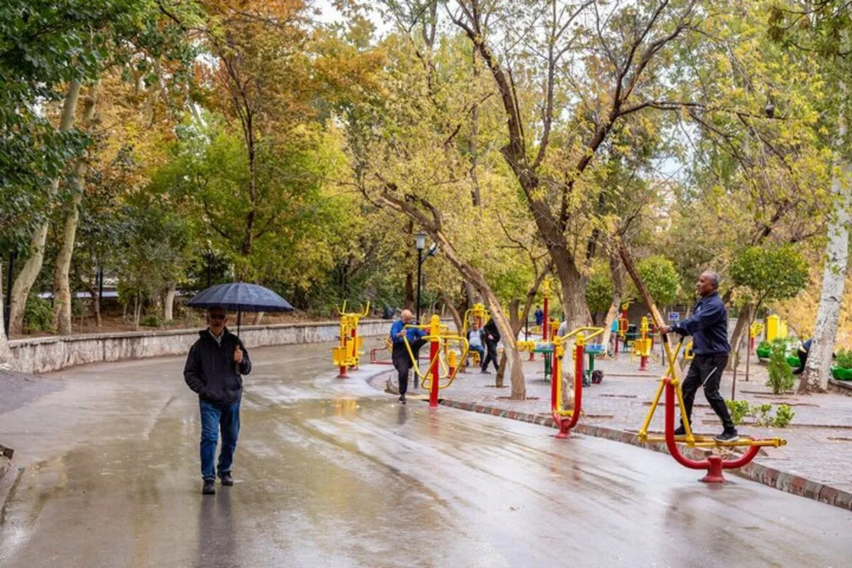 آیا فعالیت بدنی روند پیری را «آهسته» می‌کند؟ | اثرات ورزش بر سلامت جسمی و روحی سالمندان