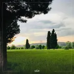 افغانستان زیباست + عکس