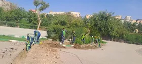 ارتقای روشنایی و افزایش ایمنی در بوستان شهربانو حجاب