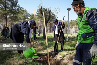 گزارش تصویری | کاشت درخت توسط دانش‌آموزان مدارس استثنایی مشهد