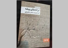 انتشار مجموعه داستان &laquo;ترانه&zwnj;های بیشه&raquo;
