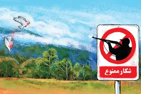 حیاتِ بی&zwnj;حمایتِ محیط&zwnj;بانان | اصلاح قانون، خواسته محیط بانان کشور