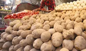 ۱۰ جایگاه عرضه مستقیم سیب&zwnj;زمینی در مناطق پرجمعیت و کم&zwnj;برخوردار مشهد راه&zwnj;اندازی شد