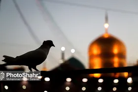 ویژه برنامه&zwnj;های روز زیارتی امام رضا(ع) در حرم مطهر رضوی