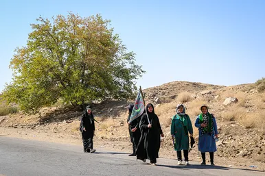 زائران پیاده در مسیر حرم مطهر رضوی