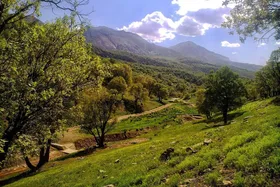 ایران خواستار همکاری جهانی برای نجات جنگل&zwnj;های زاگرس است