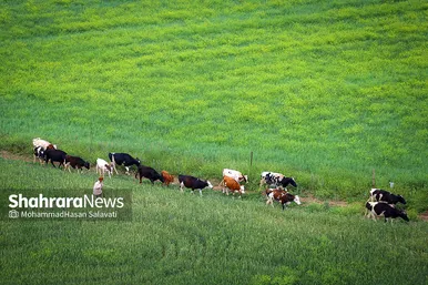 طبیعت زیبای ترکمن صحرا