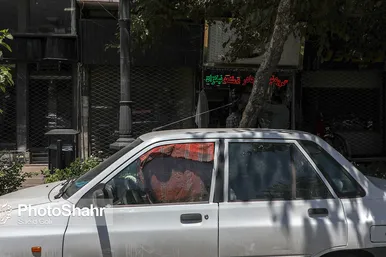 گرمای هوا در مشهد