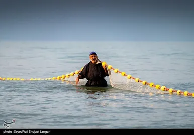 صید ماهی استخوانی - مازندران
