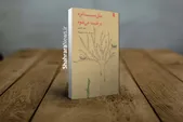 بانوی شاعر مشهدی: مشهد یکی از قطب‌های بزرگ شعر کودک و نوجوان در کشور است