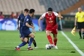 گربه سیاه گل&zwnj;گهر آماده شد