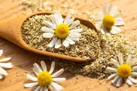 تسکین درد&zwnj;های رحم با مصرف مناسب چای بابونه