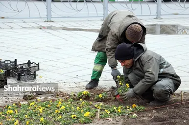 گل‌کاری در نقاط مختلف شهر مشهد