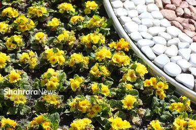 گزارش تصویری | المان های گل در نوروز ۱۴۰۴ مشهد
