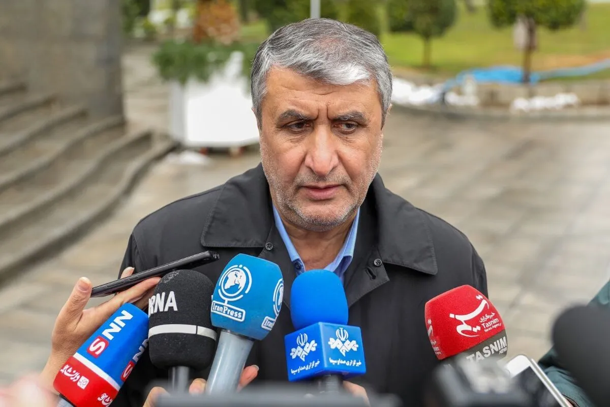 اسلامی: مسئولان آژانس برای بازدید و مذاکره در تهران هستند| روابط با آژانس در چارچوب پادمان برقرار است+ فیلم