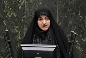 کمیسیون کشاورزی با وزیر پیشنهادی جهاد کشاورزی موافقت کرد