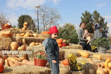 جشنواره‌ی طعم و رنگ پاییز