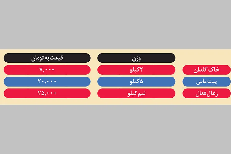 یک تراریوم را چگونه بسازیم؟