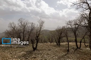 گزارش تصویری | در جست‌وجوی خلبان آمریکایی
