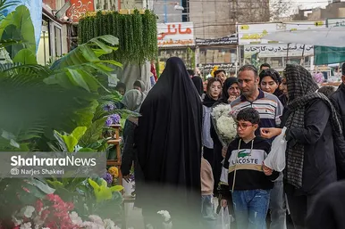 گزارش تصویری | حال‌وهوای بازار گل و گیاه مشهد در آستانه نوروز ۱۴۰۵