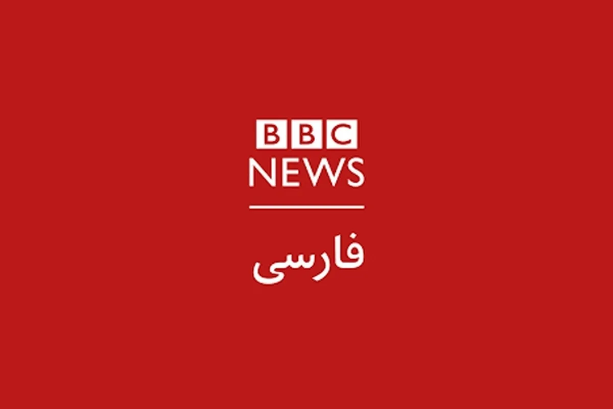 کوه اسناد «بی بی سی» درباره نیکا شاکرمی، موش زایید + تصویر