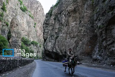 گزارش تصویری | «جاده چالوس» گذرگاه بهاری عشایر