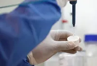 روسیه به سازمان جهانی بهداشت: هیچ موردی از طاعون در ایرکوتسک ثبت نشده است