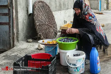 بام‌های طلایی خرو