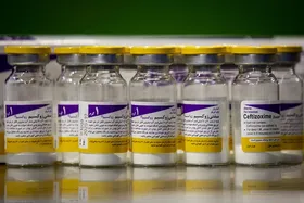۶۵ تن آنتی بیوتیک فردا وارد کشور می&zwnj;شود