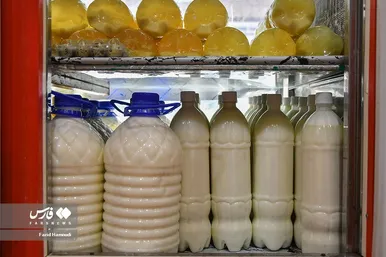 پرورش گاومیش «خوزستان»