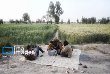 گزارش تصویری | ورود آب به سیستان پس از سال‌ها خشکسالی