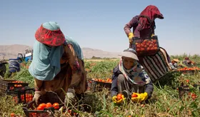 میانگین دستمزد کارگران در سال ١٤۰٢ اعلام شد