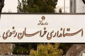 کدام اختیارات هیئت دولت به استانداران تفویض شد؟