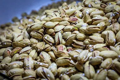 نمایشگاه فروش بهاره و عرضه مستقیم کالا