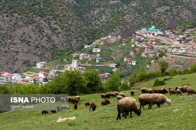 نوروزگردی | زندگی روستایی در لفور سوادکوه