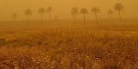 بارش ۵ روزه باران در برخی مناطق کشور| هشدار هواشناسی نسبت به وقوع طوفان شن و خسارت به کشاورزان