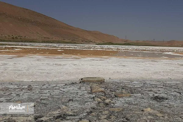 سلسه‌ مراتب زوال بزنگان + فیلم