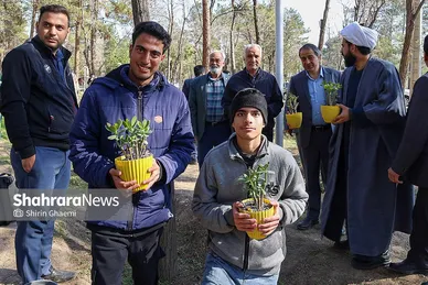 گزارش تصویری | کاشت درخت توسط دانش‌آموزان مدارس استثنایی مشهد