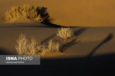 ایران زیباست | «کویر مصر»