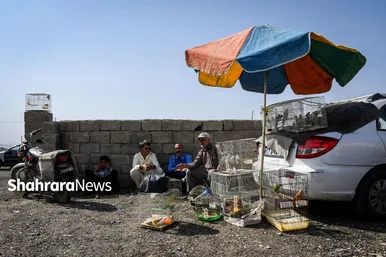 عکس‌هایی از جمعه‌بازار پرنده‌فروشان در شمال شرق مشهد