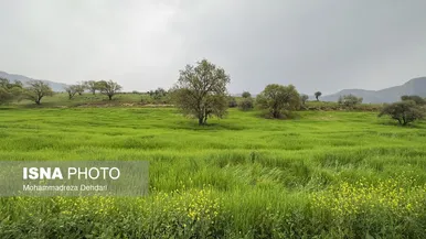 ایران زیباست | زمستان بَهاری در فارس