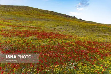 ایران زیباست | طبیعت هزار رنگ جلگه ارومیه