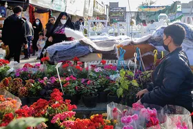 روایتی از حال و هوای این روز&zwnj;های بازار گل در مشهد