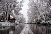 بارش برف و باران در نقاط مختلف کشور | ورود سامانه جدید بارشی از پنجشنبه (سه‌شنبه، ۱۹ اسفند ۱۴۰۴)