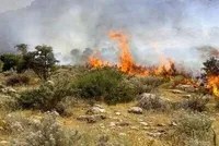 علت دقیق آتش‌سوزی جنگل ابر در دست بررسی است (۳۱ تیر ۱۴۰۴)