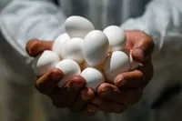شستن کدام مواد غذایی ممنوع است؟