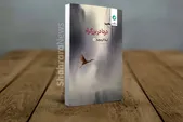 برفی که آن همه راه آمده بود | نگاهی به «درنا در بزرگراه» هفتمین مجموعه شعر لیلا کردبچه