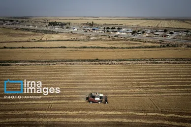 ایران زیباست | برداشت گندم در دشت آزادگان