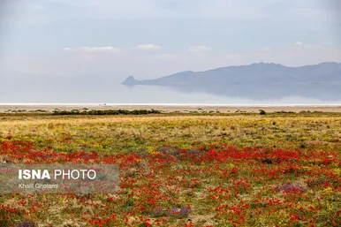 تفریح در بخش پرآب دریاچه ارومیه