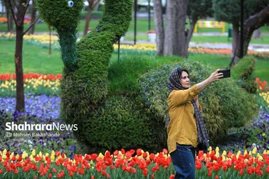 گزارش تصویری | جشنواره گل‌های لاله در مشهد